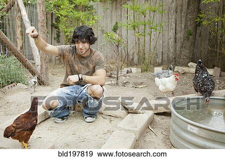 Mixed race man feeding chickens View Large Photo Image Stock Photo - Mixed race man feeding chickens. Fotosearch