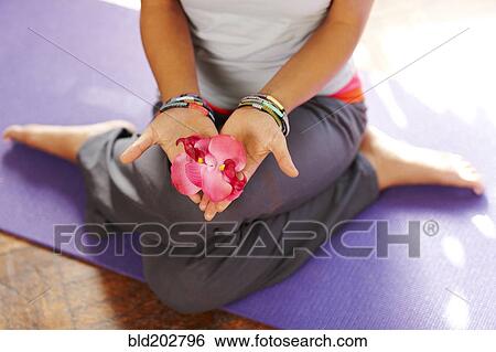 Mixed race woman with flowers on yoga mat View Large Photo Image Stock Photograph - Mixed race woman with flowers on yoga mat. Fotosearch
