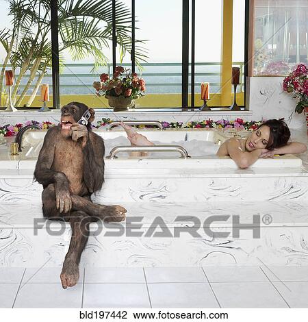 Monkey talking on cell phone while woman takes a bath View Large Photo Image Stock Image - Monkey talking on cell phone while woman takes a bath. Fotosearch