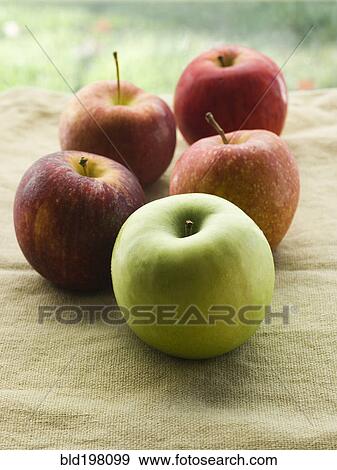 One green apple and four red apples View Large Photo Image Stock Photo - One green apple and four red apples. Fotosearch
