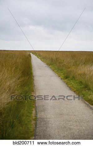 Stock Image - Path through field. Fotosearch