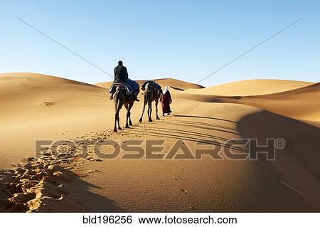 Stock Photograph - Person walking in desert with camel. Fotosearch