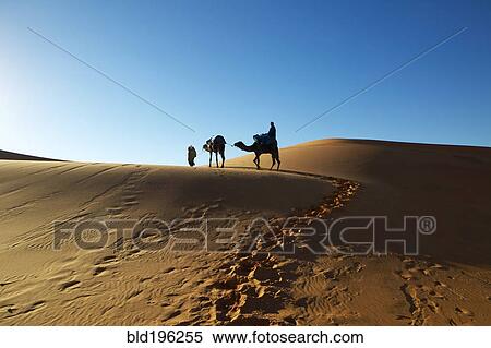Person walking in desert with camel View Large Photo Image Stock Photography - Person walking in desert with camel. Fotosearch
