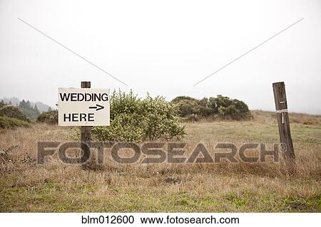 Post in field with sign - Wedding here View Large Photo Image Stock Image - Post in field with sign - Wedding here. Fotosearch