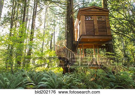 Stock Photograph - Remote tree house in forest. Fotosearch