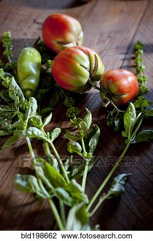 Ripening tomatoes and basil View Large Photo Image Stock Image - Ripening tomatoes and basil. Fotosearch