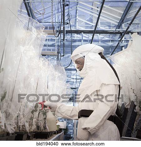 Scientist in clean suit working in greenhouse View Large Photo Image Stock Image - Scientist in clean suit working in greenhouse. Fotosearch