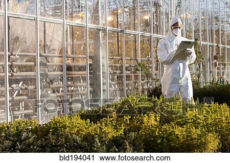 Scientist in clean suit working in greenhouse View Large Photo Image Stock Image - Scientist in clean suit working in greenhouse. Fotosearch