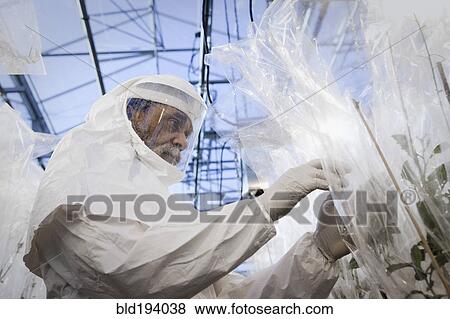 Stock Photo - Scientist in clean suit working in greenhouse. Fotosearch