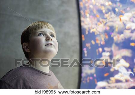 Serious boy visiting aquarium View Large Photo Image Stock Photography - Serious boy visiting aquarium. Fotosearch