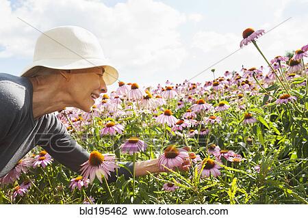Stock Image - Smiling Caucasian woman looking at flowers. Fotosearch