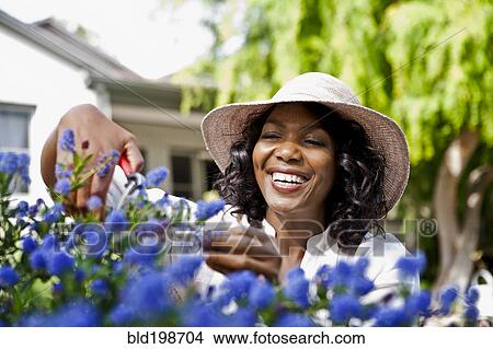 Smiling woman pruning flowers in garden View Large Photo Image Picture - Smiling woman pruning flowers in garden. Fotosearch