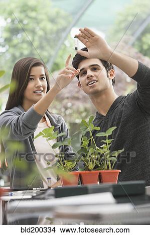 Students working in greenhouse View Large Photo Image Picture - Students working in greenhouse. Fotosearch