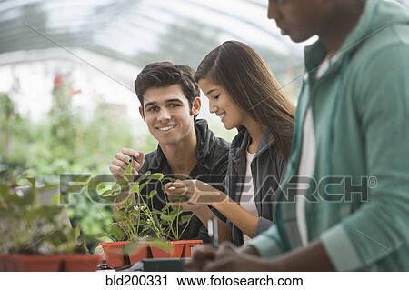 Stock Image - Students working in greenhouse. Fotosearch