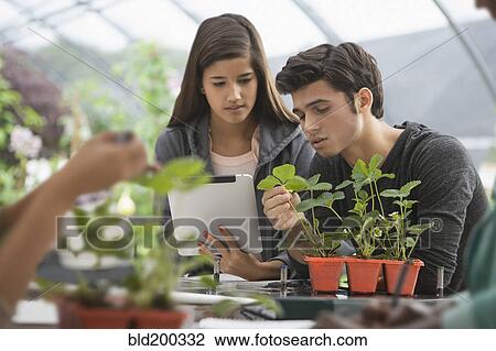 Stock Image - Students working in greenhouse. Fotosearch