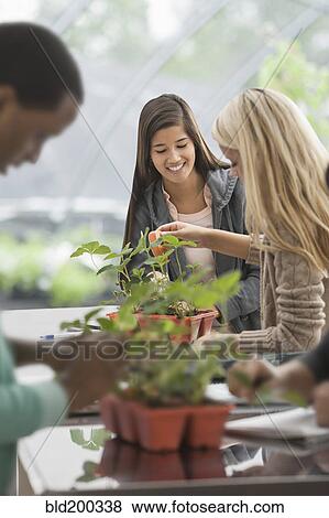 Stock Photo - Students working in greenhouse. Fotosearch