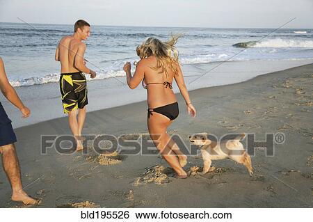 Stock Photograph - Teenagers and puppy running on beach. Fotosearch