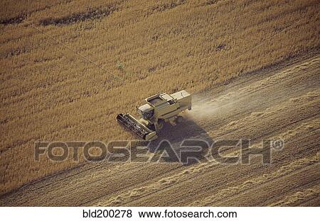 Stock Photo - Tractor harvesting crops. Fotosearch