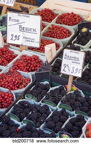 Variety of fruit for sale in market View Large Photo Image Stock Photo - Variety of fruit for sale in market. Fotosearch