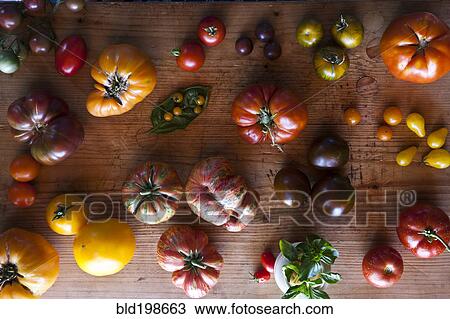 Variety of tomatoes View Large Photo Image Stock Image - Variety of tomatoes. Fotosearch