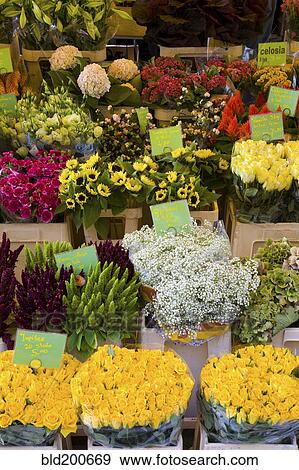 Stock Photo - Various flowers for sale in market stall. Fotosearch