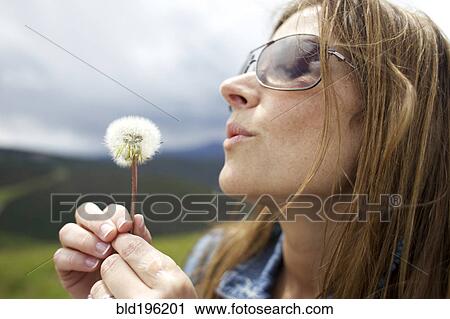 Woman glowing dandelion puff View Large Photo Image Stock Image - Woman glowing dandelion puff. Fotosearch