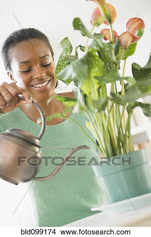 Black woman watering plant View Large Photo Image Picture - Black woman watering plant. Fotosearch