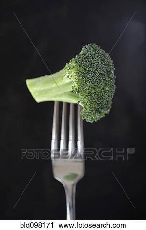 Broccoli floret on fork View Large Photo Image Stock Image - Broccoli floret on fork. Fotosearch