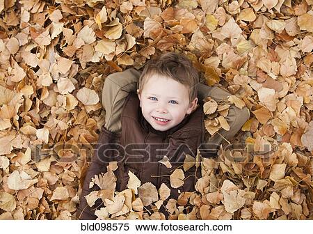 Stock Photography - Caucasian boy laying in autumn leaves. Fotosearch