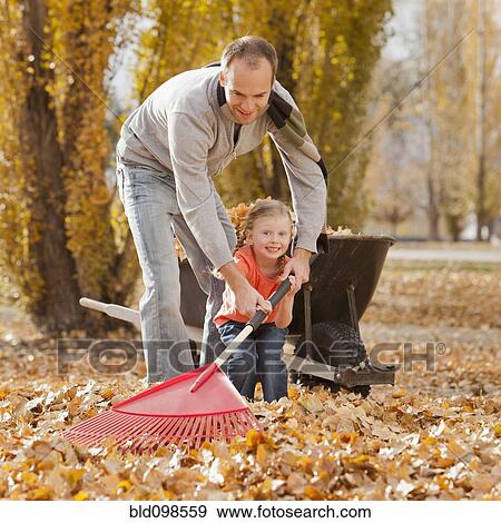 Stock Photo - Caucasian father and daughter raking autumn leaves. Fotosearch