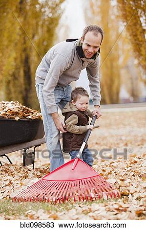 Caucasian father and son raking autumn leaves View Large Photo Image Stock Image - Caucasian father and son raking autumn leaves. Fotosearch
