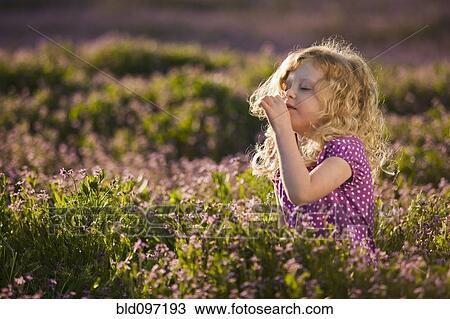 Caucasian girl smelling flowers View Large Photo Image Stock Image - Caucasian girl smelling flowers. Fotosearch