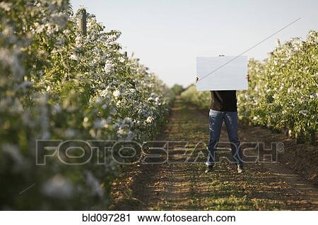 Stock Image - Caucasian woman holding blank placard in crop row. Fotosearch