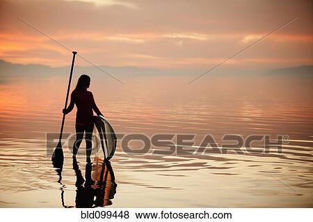 Stock Photo - Caucasian woman standing with paddle board at sunset. Fotosearch