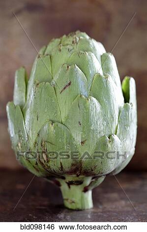 Stock Photograph - Close up of artichoke. Fotosearch