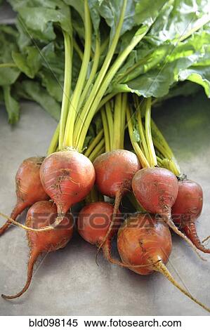 Stock Photography - Close up of beets. Fotosearch