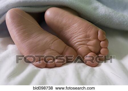 Close up of Hispanic baby boy's feet View Large Photo Image Stock Photo - Close up of Hispanic baby boy's feet. Fotosearch