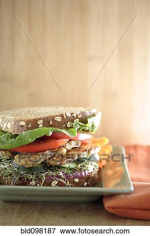 Stock Photo - Close up of tempeh soy sandwich. Fotosearch