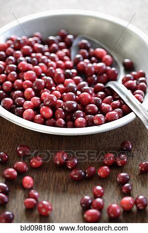 Cranberries and spoon in bowl View Large Photo Image Stock Image - Cranberries and spoon in bowl. Fotosearch