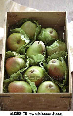 Fresh pears in wooden crate View Large Photo Image Stock Photo - Fresh pears in wooden crate. Fotosearch