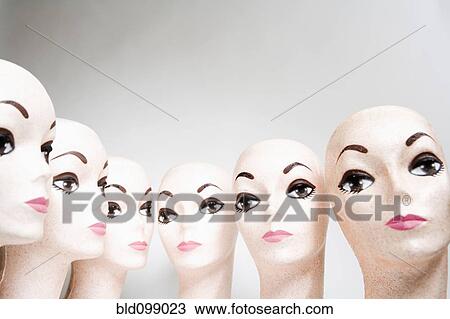Group of bald, female mannequin heads View Large Photo Image Stock Image - Group of bald, female mannequin heads. Fotosearch