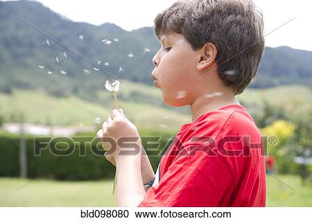 Stock Image - Hispanic boy blowing dandelion seeds. Fotosearch