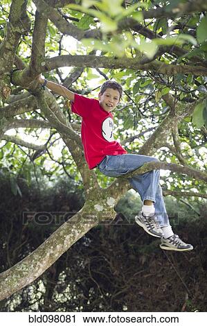 Stock Image - Hispanic boy climbing tree. Fotosearch