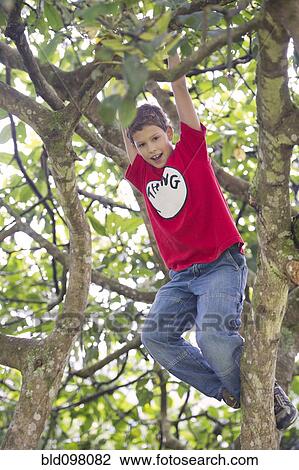 Stock Image - Hispanic boy playing in tree. Fotosearch