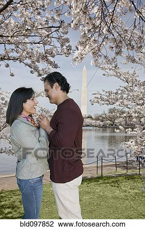 Stock Image - Hispanic couple holding hands underneath blooming tree. Fotosearch