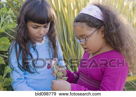 Stock Photo - Hispanic girls looking at flowers. Fotosearch