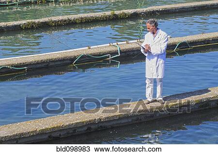 Stock Image - Hispanic man working in fish hatchery. Fotosearch