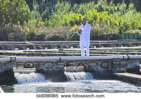 Stock Photography - Hispanic man working in fish hatchery. Fotosearch