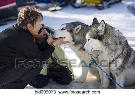 Hispanic woman and boy petting dogs View Large Photo Image Stock Image - Hispanic woman and boy petting dogs. Fotosearch