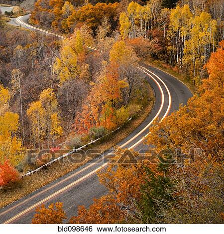 Long exposure of car driving on road through autumn leaves View Large Photo Image Stock Photograph - Long exposure of car driving on road through autumn leaves. Fotosearch